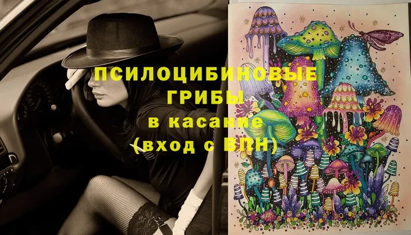 Галлюциногенные грибы Psilocybe  Лагань 